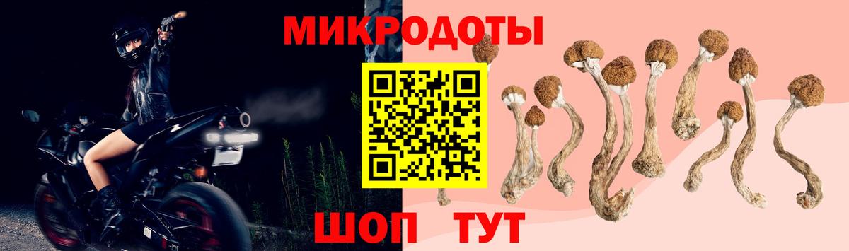 Галлюциногенные грибы ЛСД Артёмовский